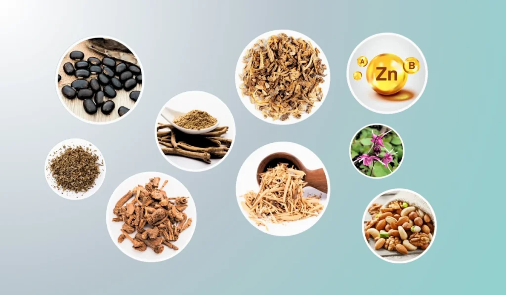 Quietum Plus ingredients