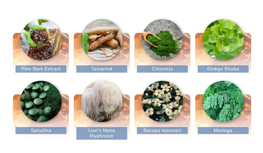 JointVive Ingredients