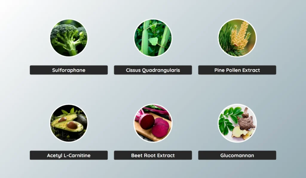 LipoSlend Ingredients