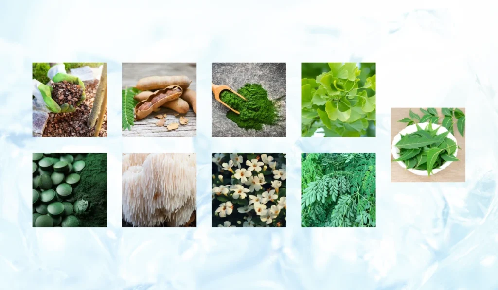 Pineal Pure ingredients