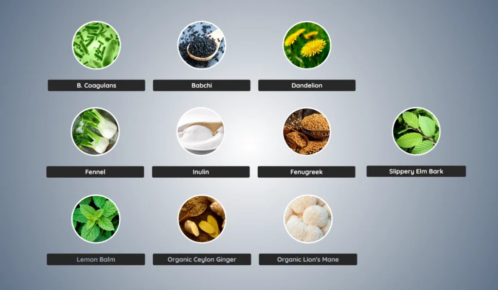 PrimeBiome Ingredients