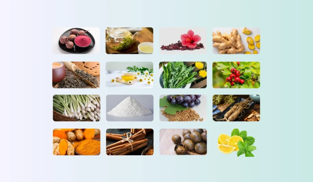 Cardio Slim Tea Ingredients