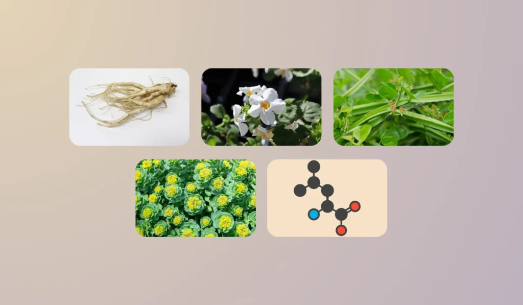 Cosmic Core Ingredients