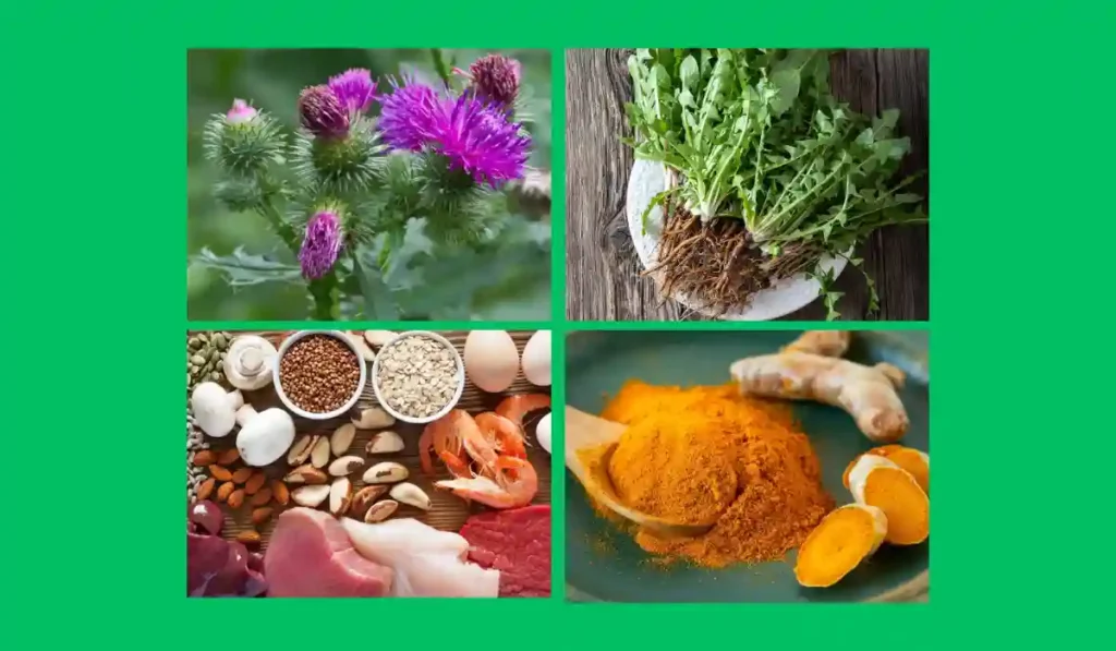 Liver Revive Ingredients