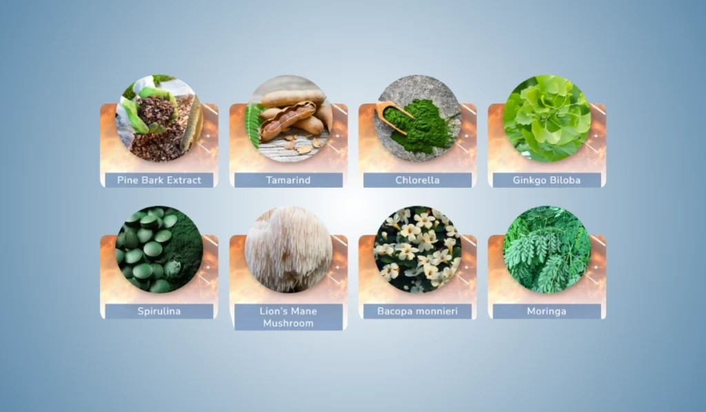 The Pineal Guardian Ingredients
